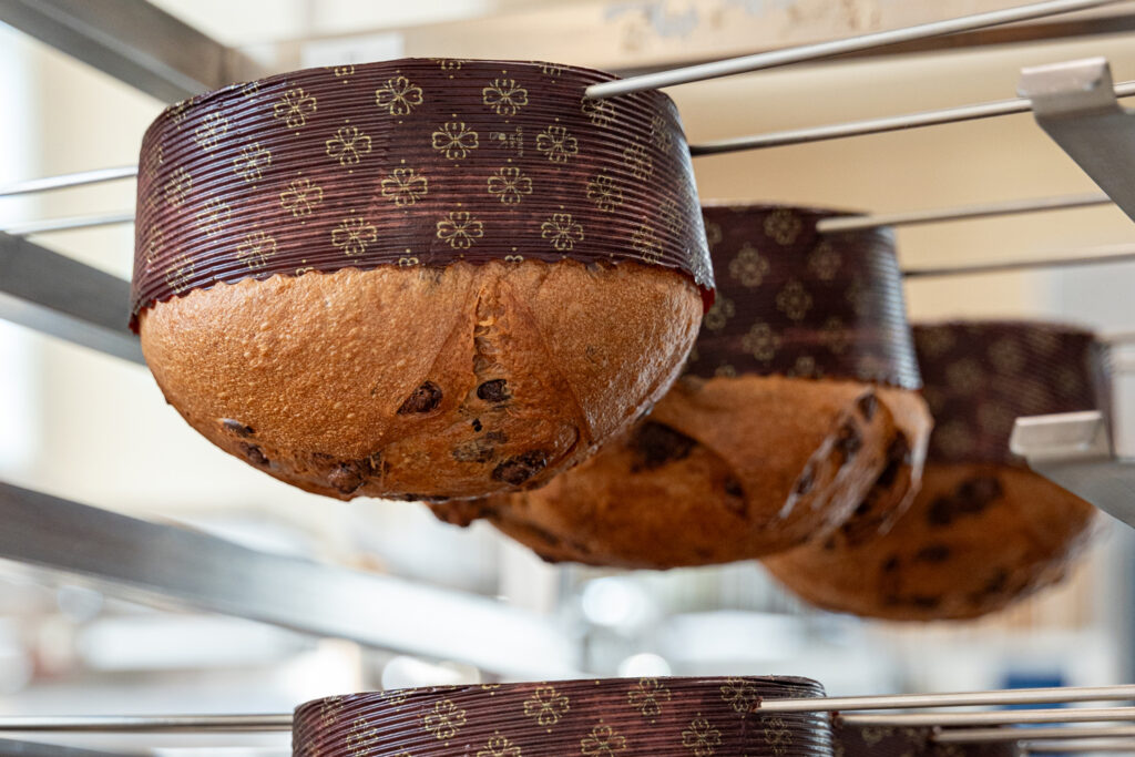 Panettone